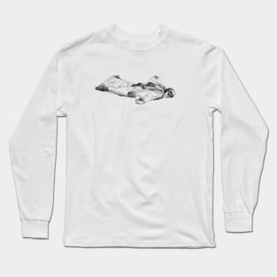 Wingsuit Long Sleeve T-Shirt